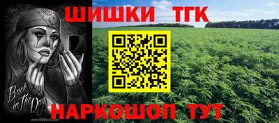 дмт Тверь