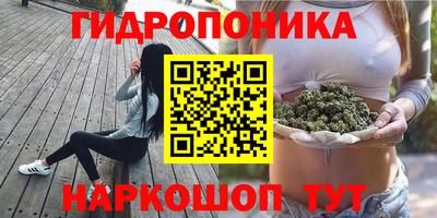 apvp Тара