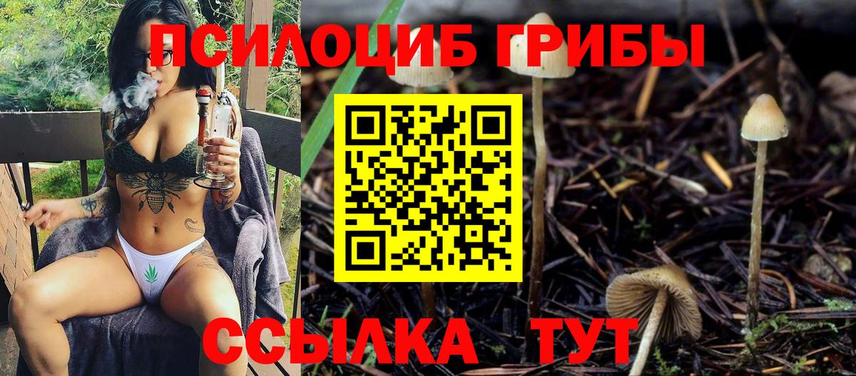 где продают   Галлюциногенные грибы мицелий  Вход с VPN  Нефтекамск 